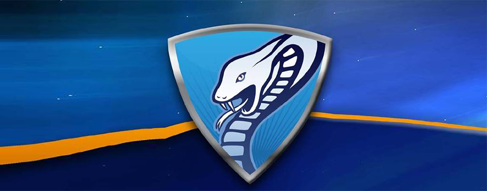 VIPRE AntiVirus and AntiSpyWare